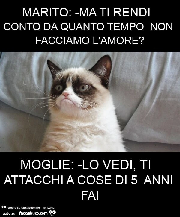 Marito: -ma ti rendi conto da quanto tempo non facciamo l'amore? Moglie: -lo vedi, ti attacchi a cose di 5 anni fa