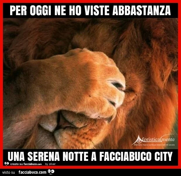 Per oggi ne ho viste abbastanza una serena notte a facciabuco city