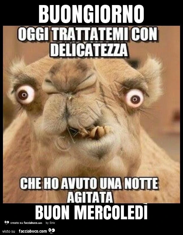 Buongiorno buon mercoledì