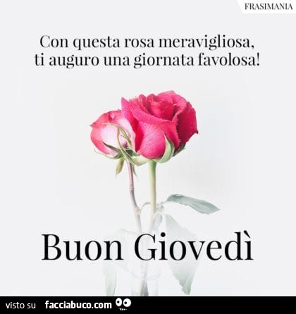 Con questa rosa meravigliosa, ti auguro una giornata favolosa! Buon giovedì