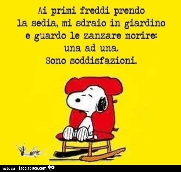 Ai primi freddi prendo la sedia, mi sdraio in giardino e guardo le zanzare morire: una ad una. Sono soddisfazioni