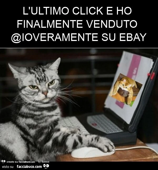 L'ultimo click e ho finalmente venduto @ioveramente su ebay