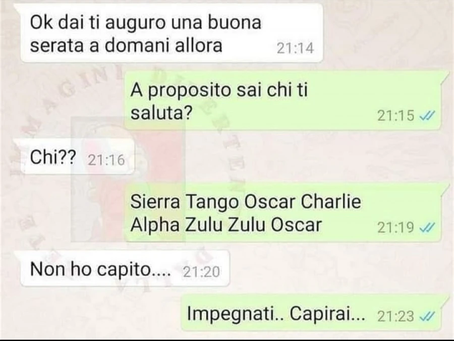 Vaccata