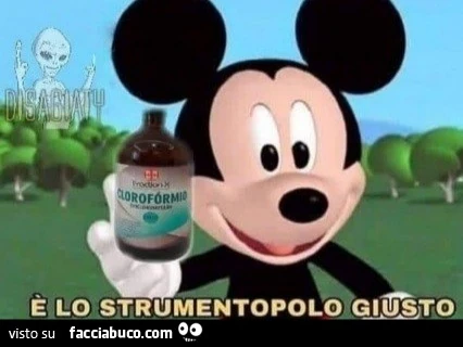Vaccata