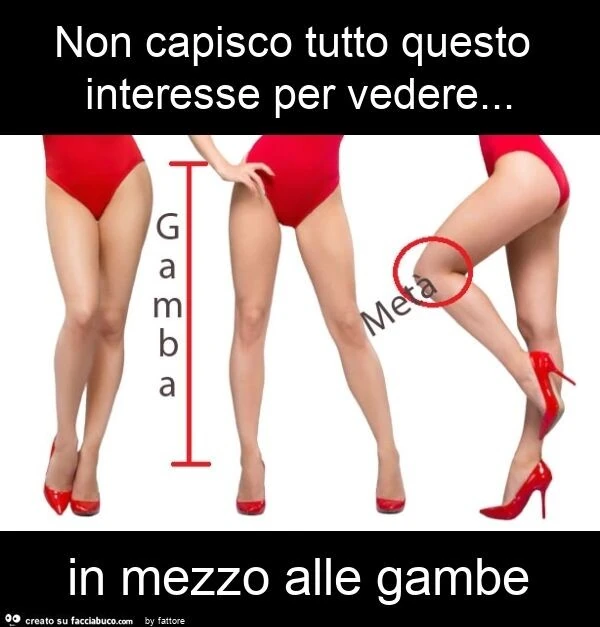Non capisco tutto questo interesse per vedere&hellip; in mezzo alle gambe