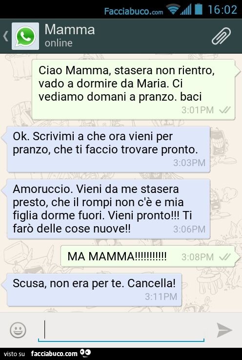 Ciao Mamma, stasera non rientro, vado a dormire da Maria. Ci vediamo domani a pranzo. Baci. Ok. Scrivimi a che ora vieni per pranzo, che ti faccio trovare pronto. Amoruccio. Vieni da me stasera presto, che il rompi non c'è e mia figlia dorme fuori. V