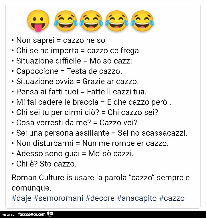 Semo romani, non saprei v cazzo ne so chi se ne importa cazzo ce frega b situazione difficile mo so cazzi v capoccione testa de cazzo conti
