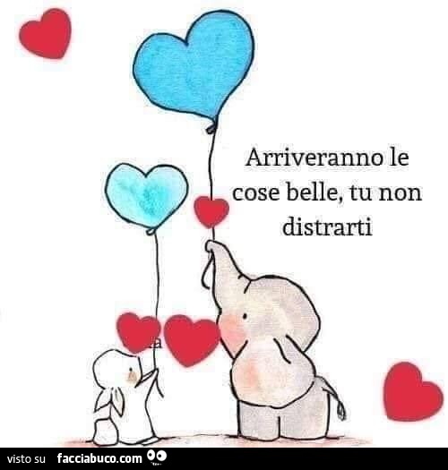 Arriveranno le cose belle, tu non distrarti