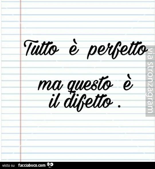 Tutto è perfetto ma questo è il difetto