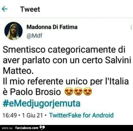 Smentisco categoricamente di aver parlato con un certo salvini matteo. Il mio referente unico per l'italia è paolo brosio