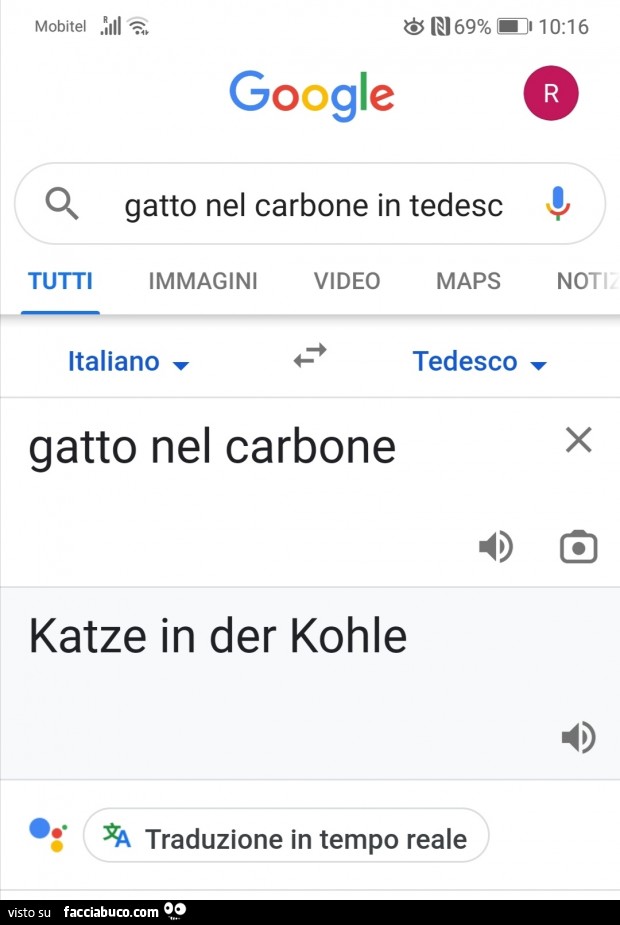Vaccata