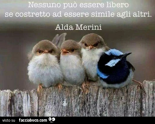 Libertà
