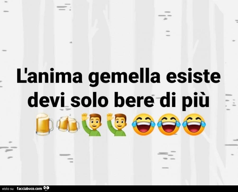 L'anima gemella esiste devi solo bere di più