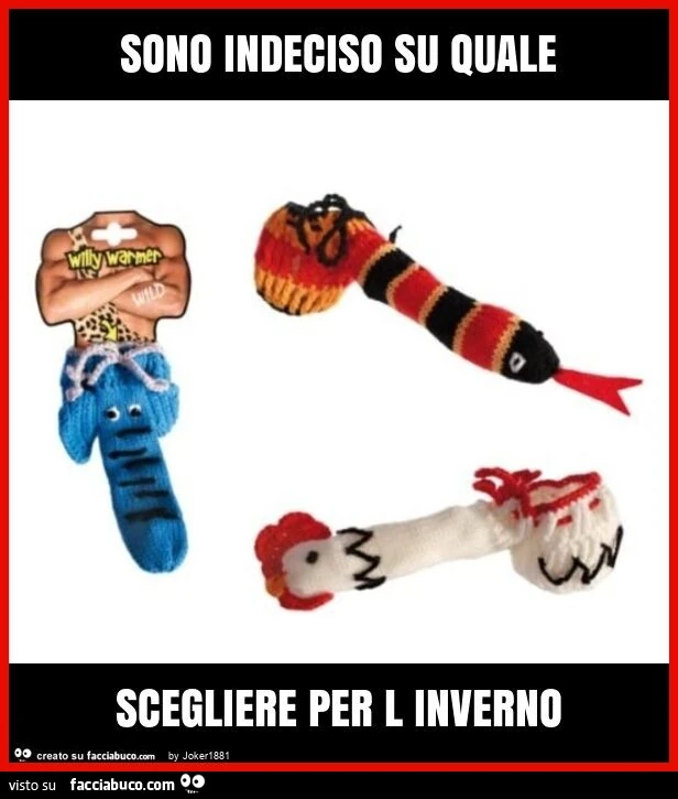 Sono indeciso su quale scegliere per l inverno