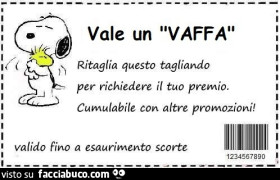 Vaccata