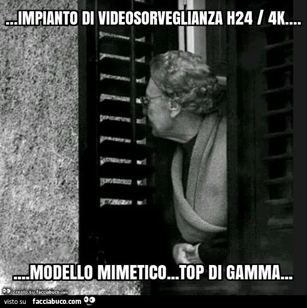 Impianto di videosorveglianza h24 / 4k&hellip; modello mimetico&hellip; top di gamma