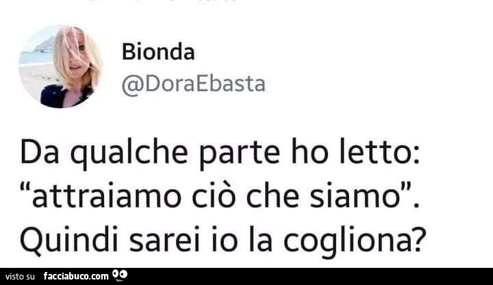 Da qualche parte ho letto: attraiamo ciò che siamo. Quindi sarei io la cogliona?