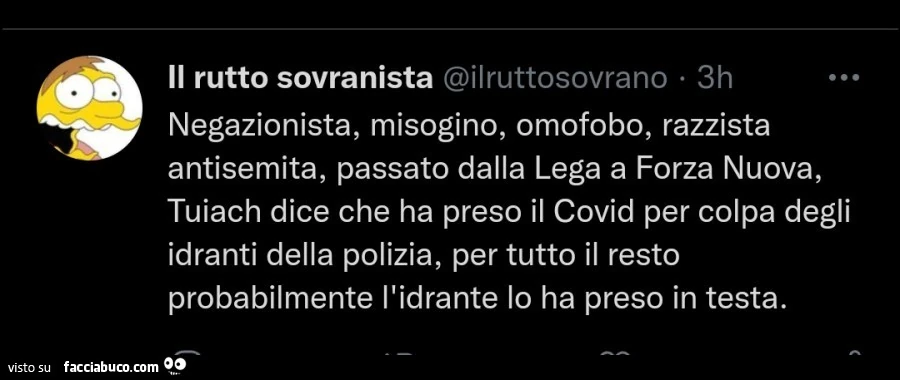 Negazionista, misogino, omofobo, razzista antisemita, passato dalla lega a forza nuova, tuiach dice che ha preso il covid per colpa degli idranti della polizia, per tutto il resto probabilmente l'idrante lo ha preso in testa