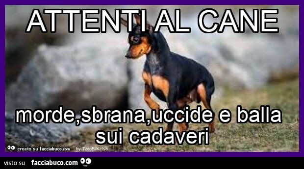 Attenti al cane morde, sbrana, uccide e balla sui cadaveri