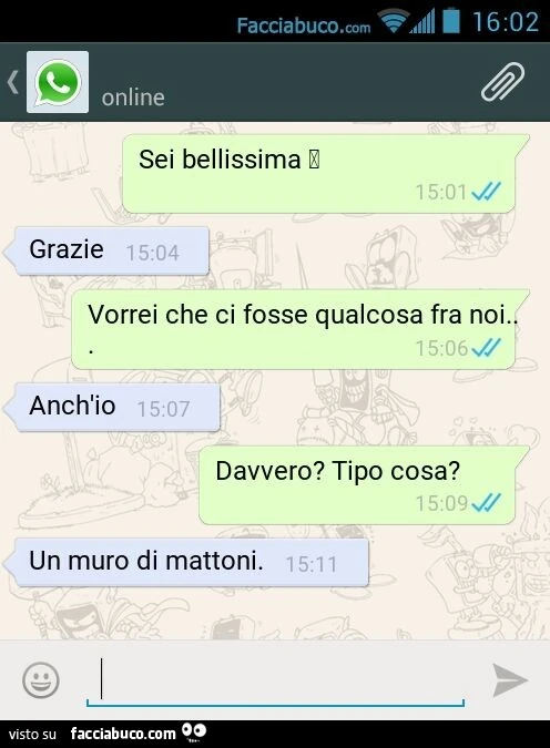 Sei bellissima Grazie Vorrei che ci fosse qualcosa fra noi… Anch'io Davvero? Tipo cosa? Un muro di mattoni