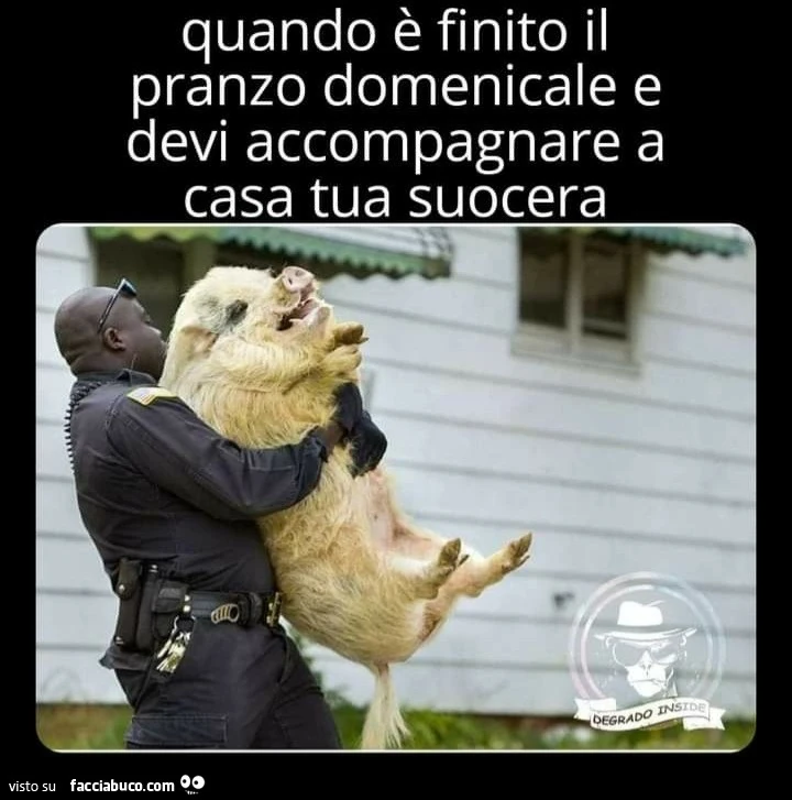 Quando è finito il pranzo domenicale e devi accompagnare