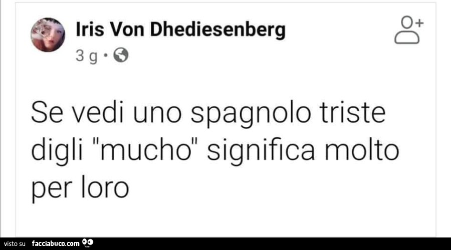 Se vedi uno spagnolo triste digli mucho. Significa molto per loro