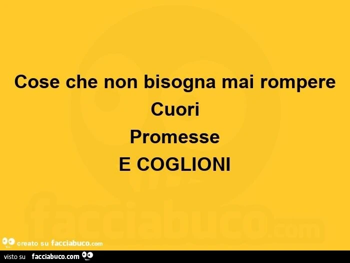 Cose che non bisogna mai rompere cuori promesse e coglioni