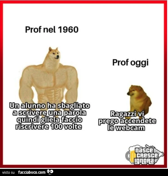 Vaccata