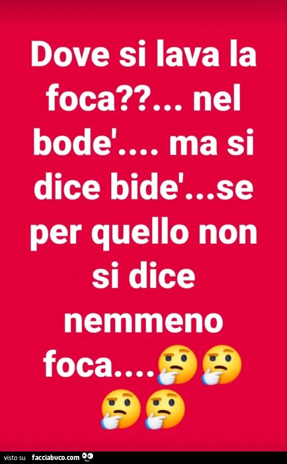 Dove si lava la foca? … Nel bodè… ma si dice bidè… se per quello non si dice nemmeno foca