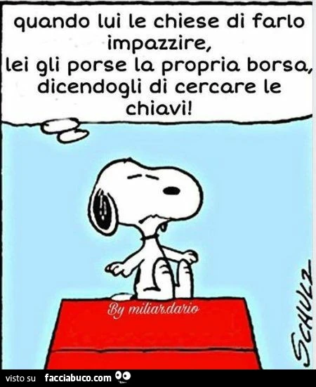 Donne e borsette
