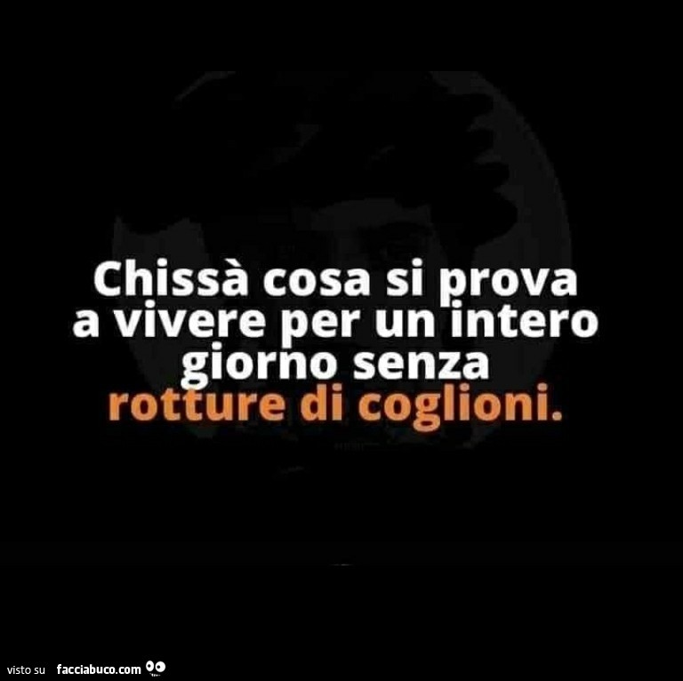 Chissà cosa si prova a vivere per un intero giorno senza rotture di coglioni