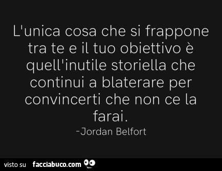 L'unica cosa che si frappone tra te e il tuo obiettivo è quell'inutile storiella che continui a blaterare per convincerti che non ce la farai. Jordan Belfort