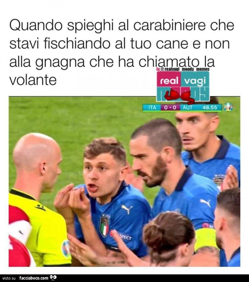 Vaccata