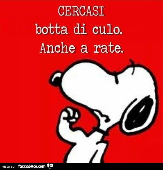 Cercasi botta di culo. Anche a rate