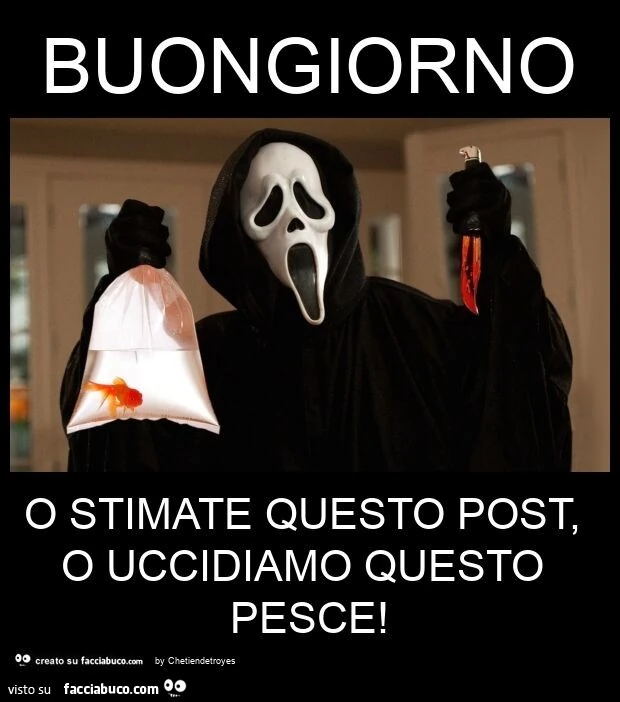 Buongiorno o stimate questo post, o uccidiamo questo pesce