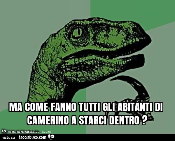 Ma come fanno tutti gli abitanti di camerino a starci dentro?