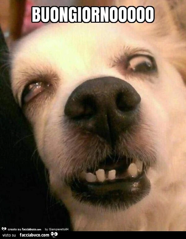 Buongiornooooo