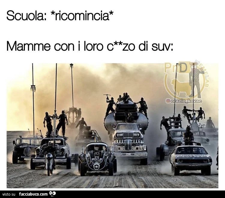 Vaccata