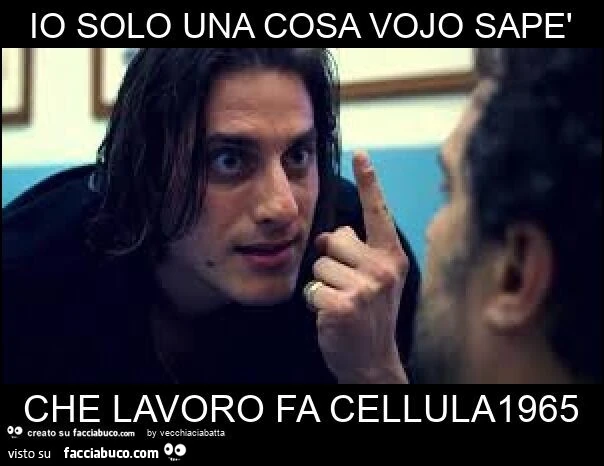Io solo una cosa vojo sapè che lavoro fa cellula1965