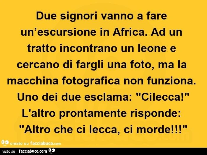 Due signori vanno a fare un'escursione in africa. Ad un tratto incontrano un leone e cercano di fargli una foto, ma la macchina fotografica non funziona. Uno dei due esclama: "cilecca! " L'altro prontamente risponde: "altro che ci