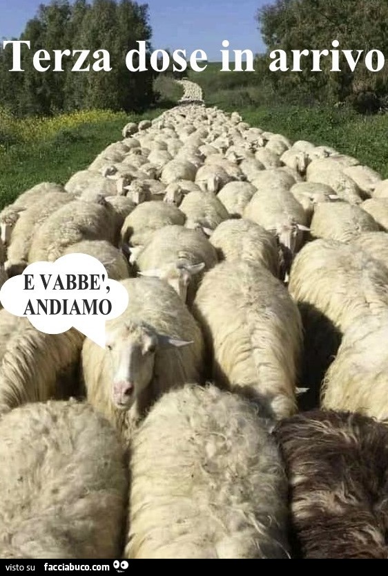 Vaccino - Terza dose - Facciabuco.com