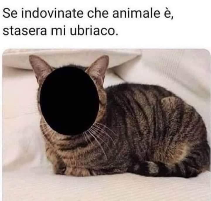 Indovinare che animale è