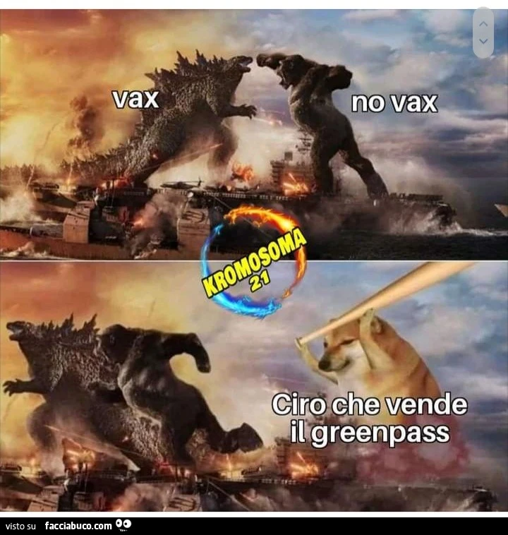 Vax no vax ciro che vende il green pass