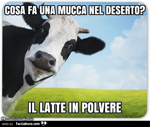 Cosa fa una mucca nel deserto? Il latte in polvere