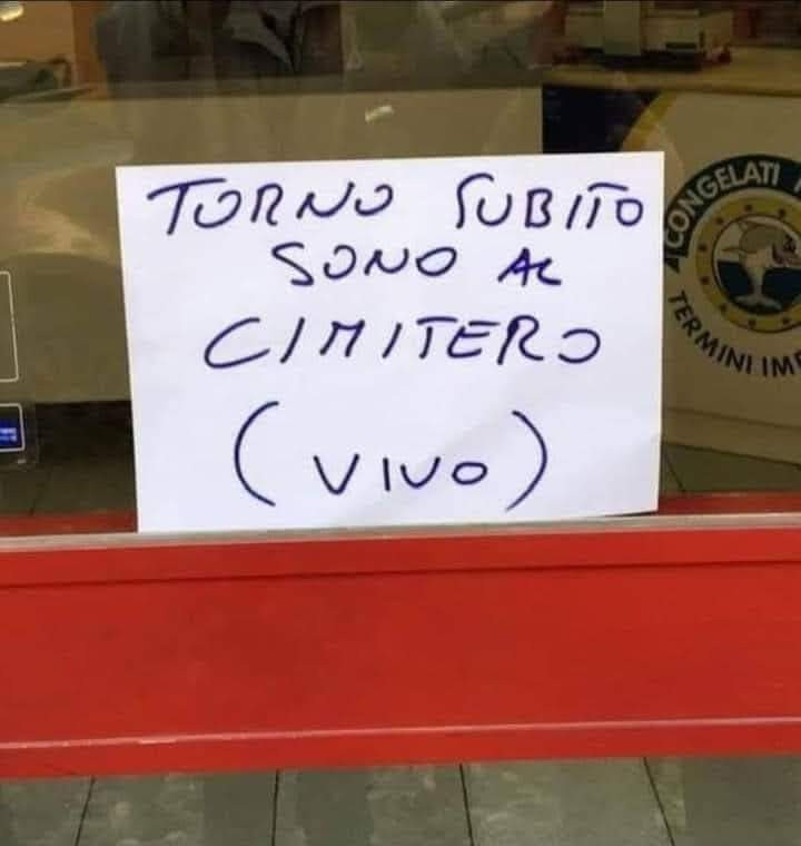 Torno subito
