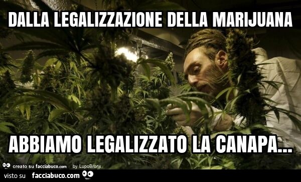 Dalla legalizzazione della marijuana abbiamo legalizzato la canapa