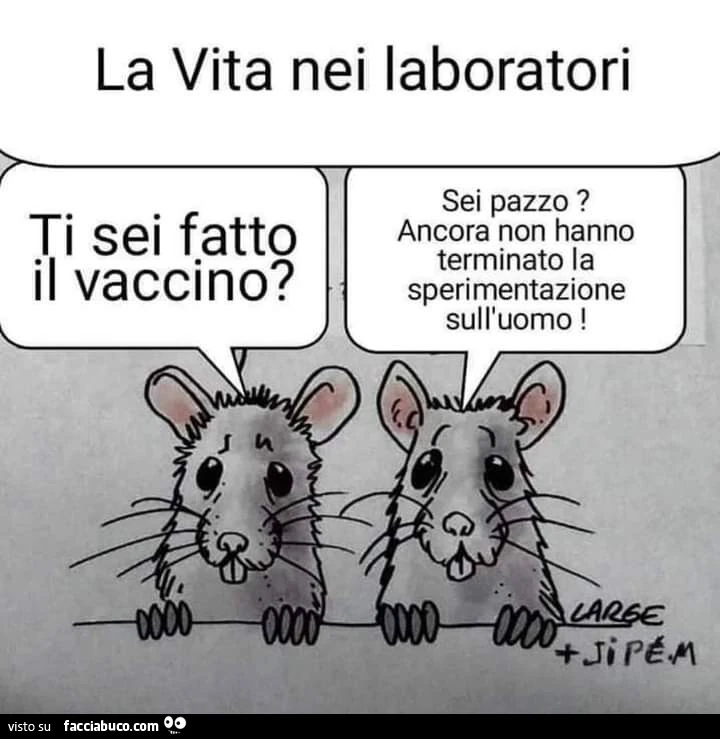 Vaccata