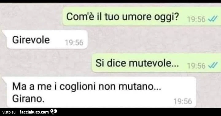 Com'è il tuo umore oggi? Girevole. Si dice mutevole&hellip; ma a me i coglioni non mutano&hellip; girano