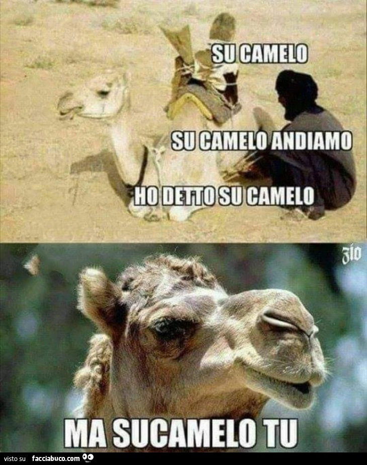 Sucamelo