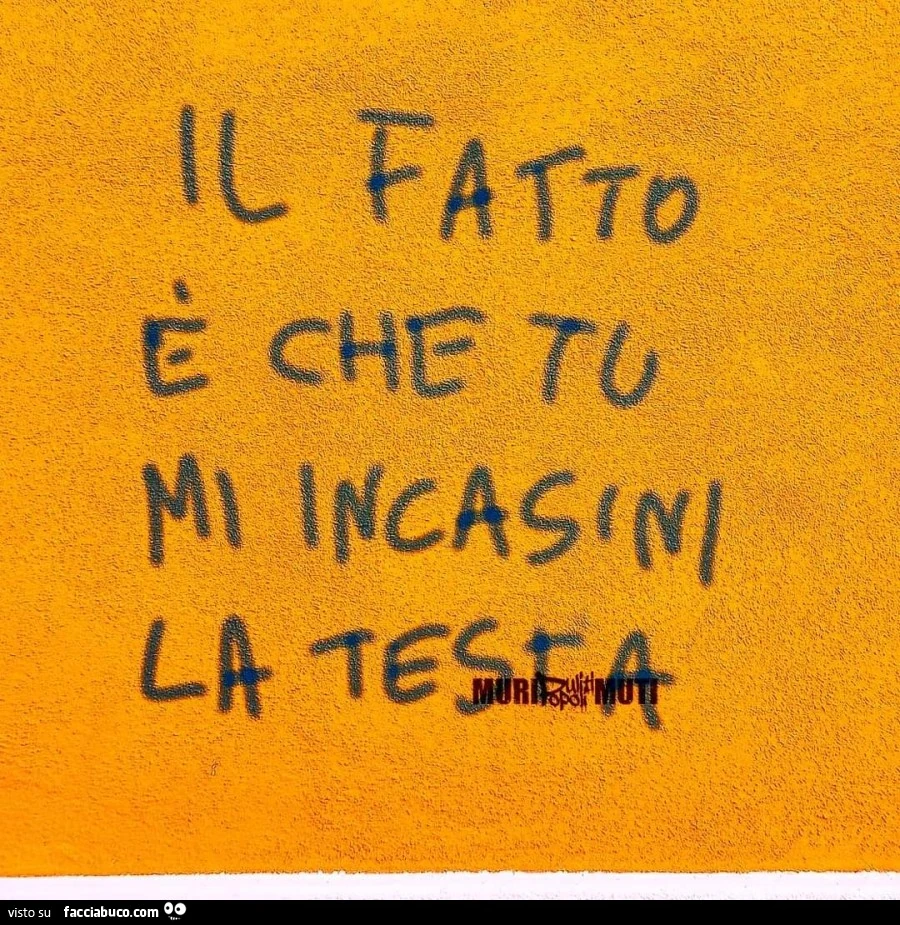 Il fatto è che tu mi incasini la testa